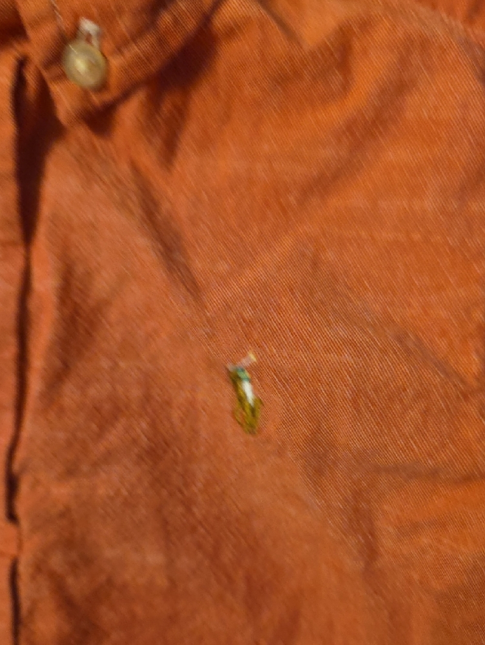 Polo by Ralph Lauren Coral Short-Sleeve Button-Down Shirt for Kids - Picture 3 of 4